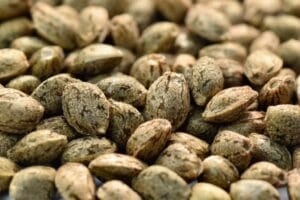 Michigan seed banks