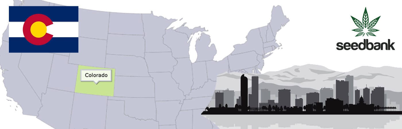 buy cannabis seeds in colorado