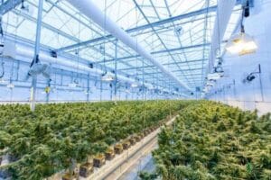 Colorado seed bank