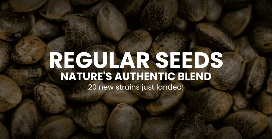 seed bank regular non-feminized seeds