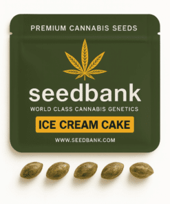 ice cream cake seeds 5