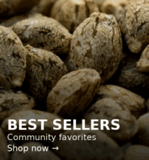 best selling strains