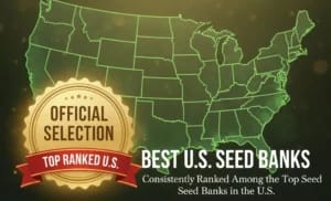 best us seed banks