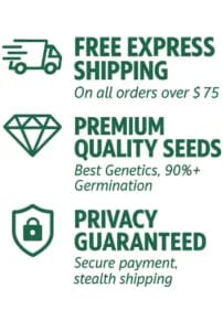 seedbank free shipping quality seeds guarantee