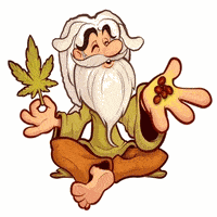 guruseeds_medical_seedbank_seed_king_seedbank.com